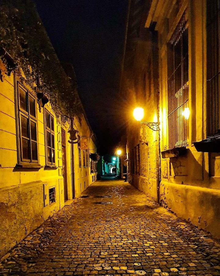 Old Town Vintage Apartment Sturova Koszyce Zewnętrze zdjęcie